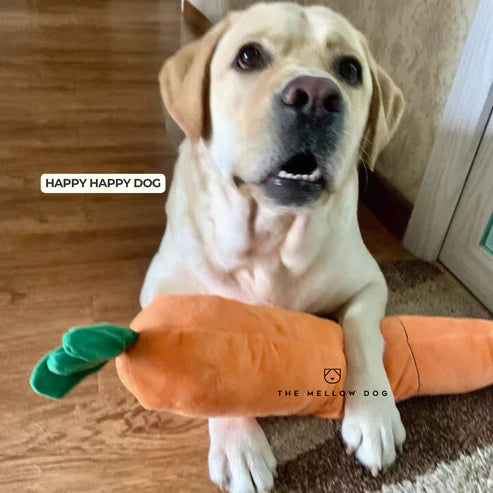 Calming Carrot PawsMagics