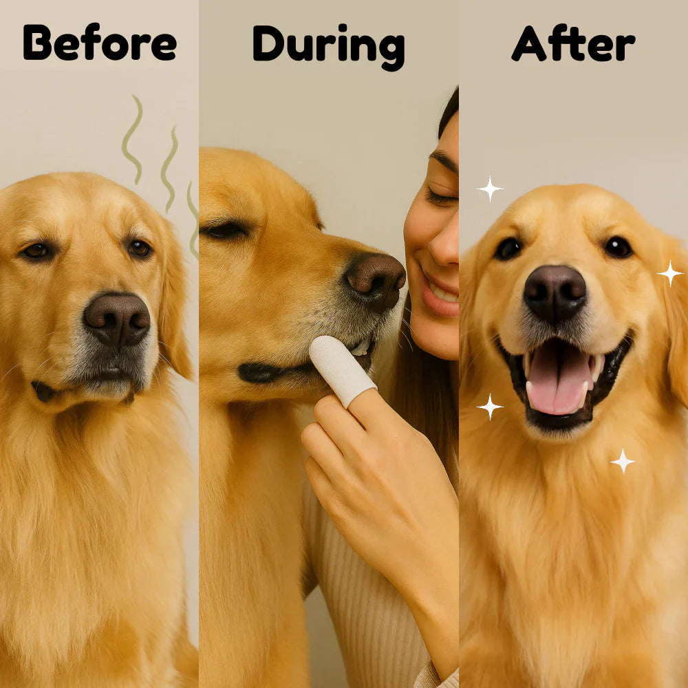 Natural Pet Dental Finger Wipes 50 Pcs PawsMagics