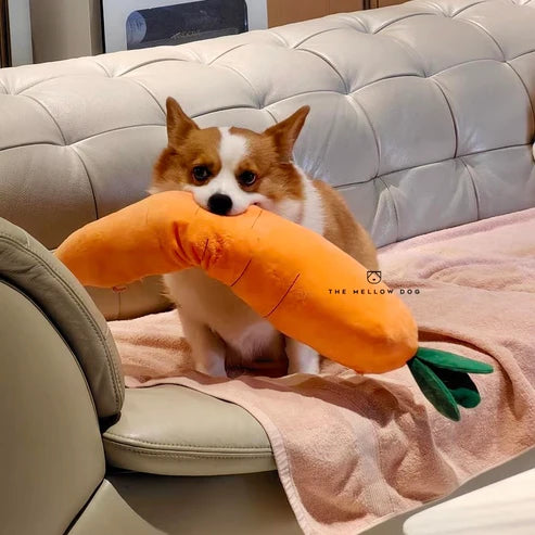 Calming Carrot PawsMagics