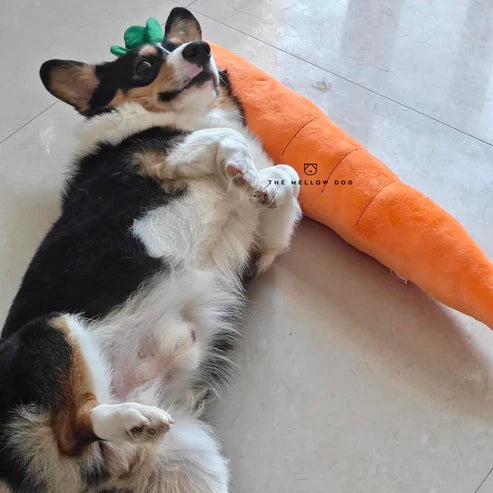 Calming Carrot PawsMagics