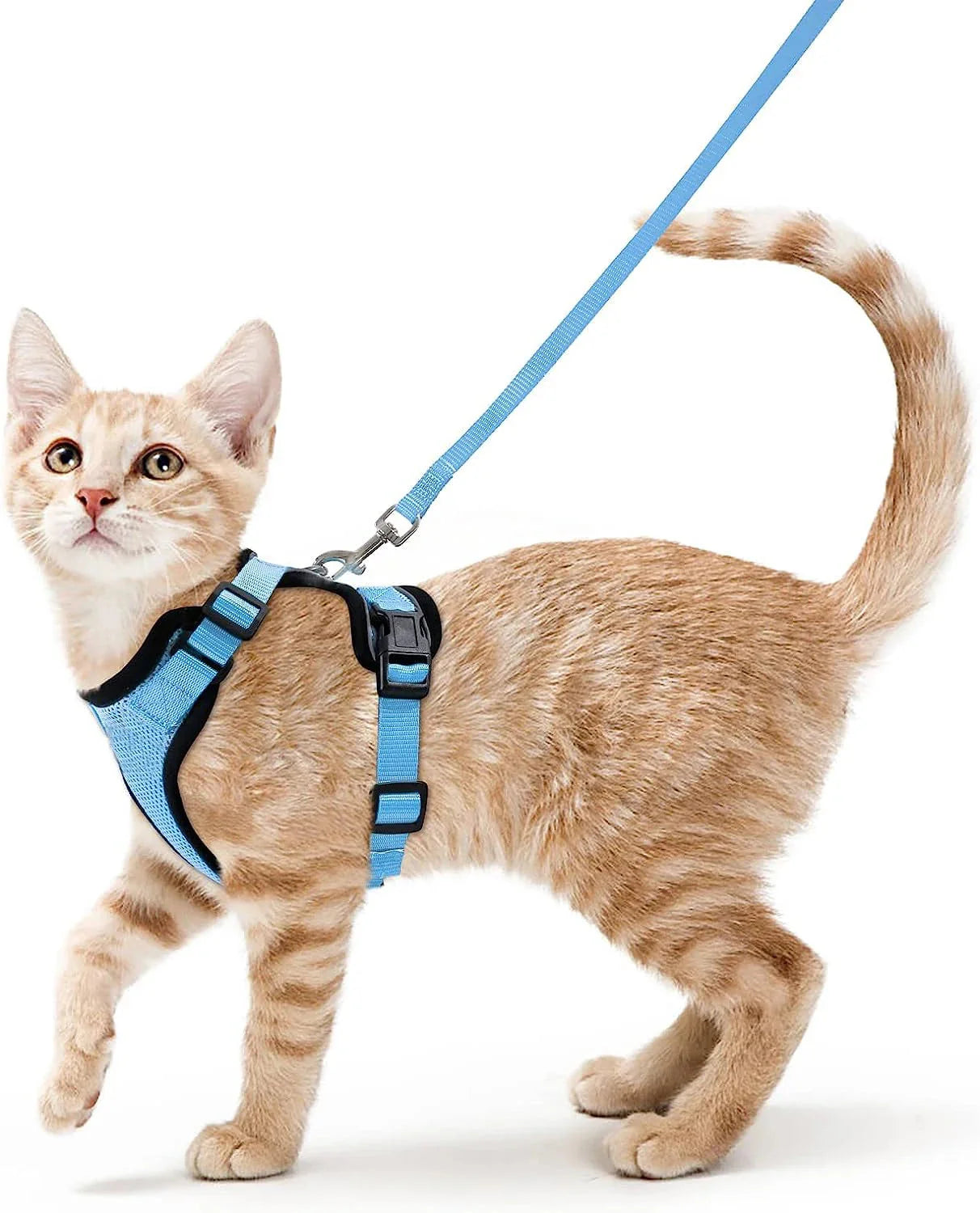 Cat Harness and Leash for Walking β Escape Proof, Soft & Adjustable Vest Harnesses PawsnHeart