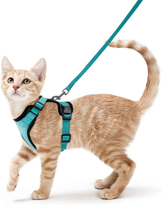 Cat Harness and Leash for Walking – Escape Proof, Soft & Adjustable Vest Harnesses PawsnHeart