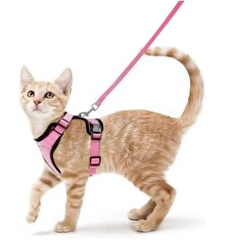 Cat Harness and Leash for Walking, Escape Proof Soft Adjustable Vest Harnesses for Cats, EasyControl PawsnHeart