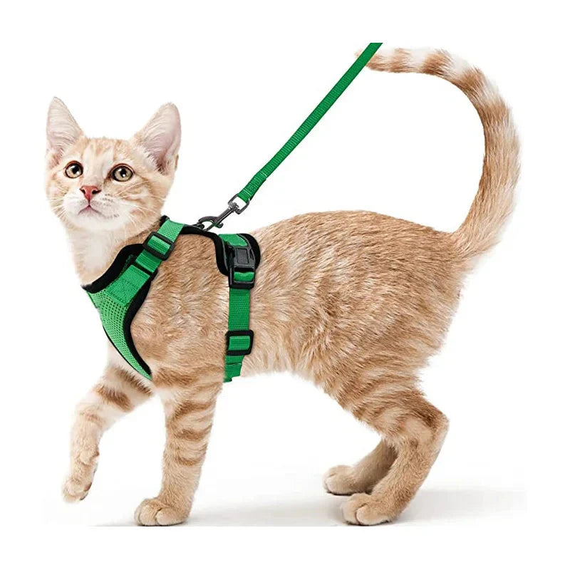 Cat Harness and Leash for Walking, Escape Proof Soft Adjustable Vest Harnesses for Cats, EasyControl PawsnHeart