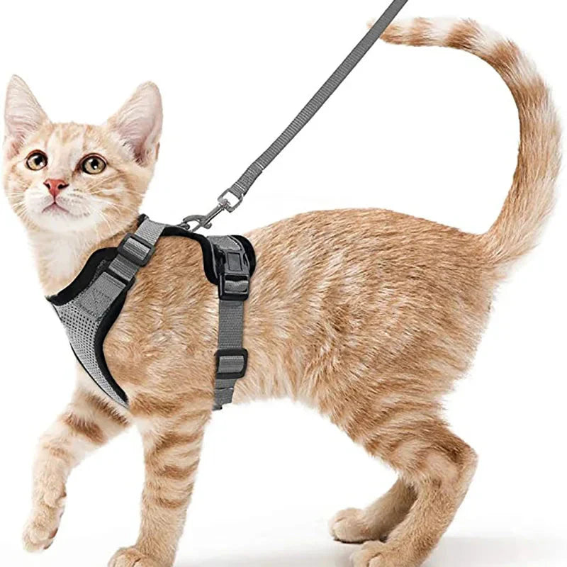Cat Harness and Leash for Walking, Escape Proof Soft Adjustable Vest Harnesses for Cats, EasyControl PawsnHeart