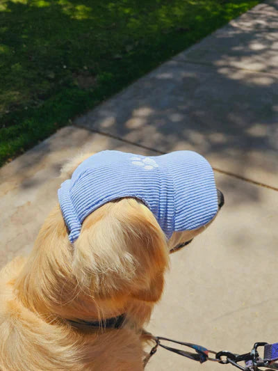 Adjustable Dog Baseball Cap Outdoor Sports Hat Soft Breathable Pet Sun Hat with Ear Holes Dog Parent-Child Hat Hiking PawsnMagic