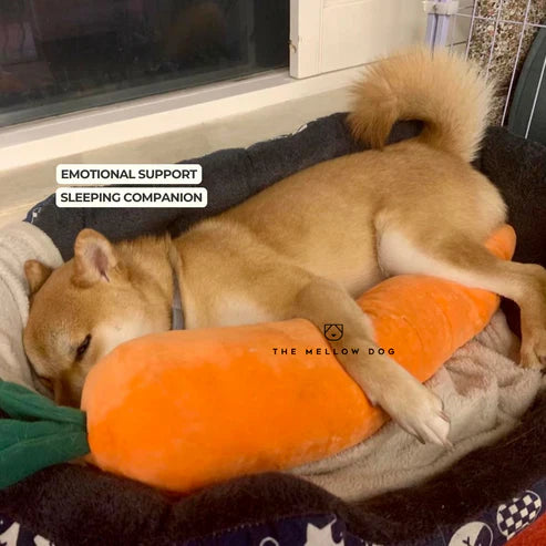 Calming Carrot PawsMagics