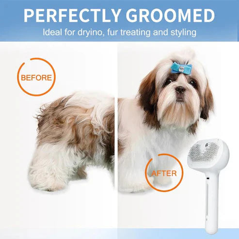 🔥Pet Spray Hair Removal Comb PawsMagics