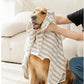 Absorbent Dog Bathrobe - Quick-Drying Towel for All Sizes PawsMagics