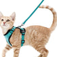 Cat Harness and Leash for Walking, Escape Proof Soft Adjustable Vest Harnesses for Cats, EasyControl PawsnHeart