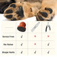 Dog Nail File Manual Wooden Pet Grooming Dogs Scratching Board Grinding Claw Pet Claw Care for Puppy Nail Care Outdoor Indoor Pawsn