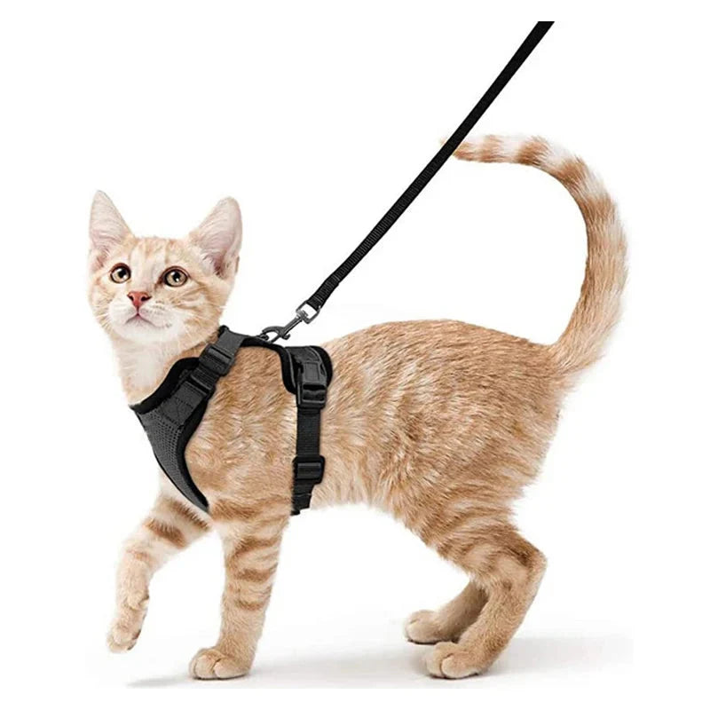 Cat Harness and Leash for Walking, Escape Proof Soft Adjustable Vest Harnesses for Cats, EasyControl PawsnHeart