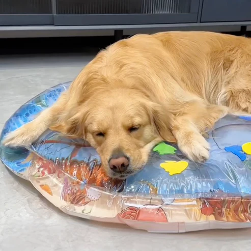ChillTailz Water Bed™ PawsnHeart